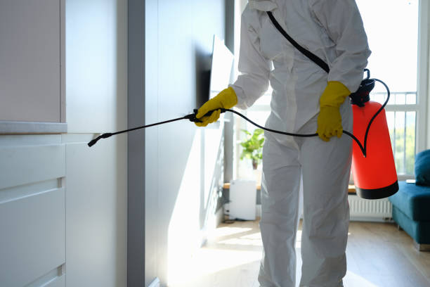 Best Emergency Mold Removal  in Coos Bay, OR