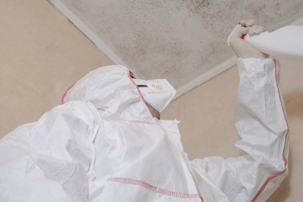 Best Mold Removal Company Near Me  in Coos Bay, OR